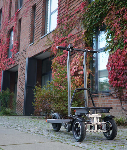 C 3 e cargo/ trolley scooter